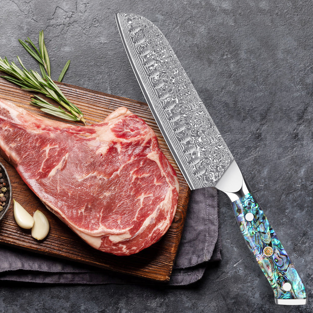 Abalone Shell Series-Santoku Knife
