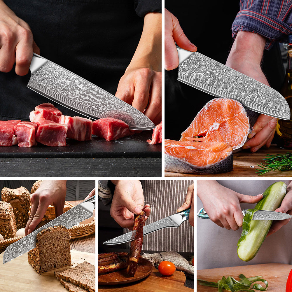 Abalone Shell Series - Chef's Knife + Bakery + Santoku Knife + Multipurpose Knife + Deboning Knife