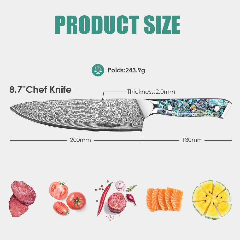 Abalone Shell Series-Chef’s Knife