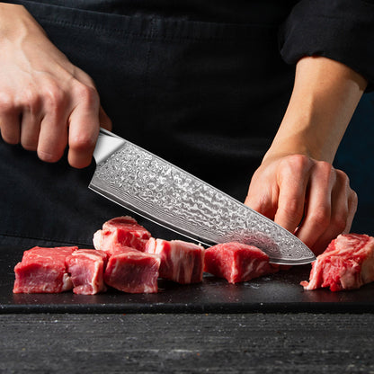 Abalone Shell Series-Chef’s Knife