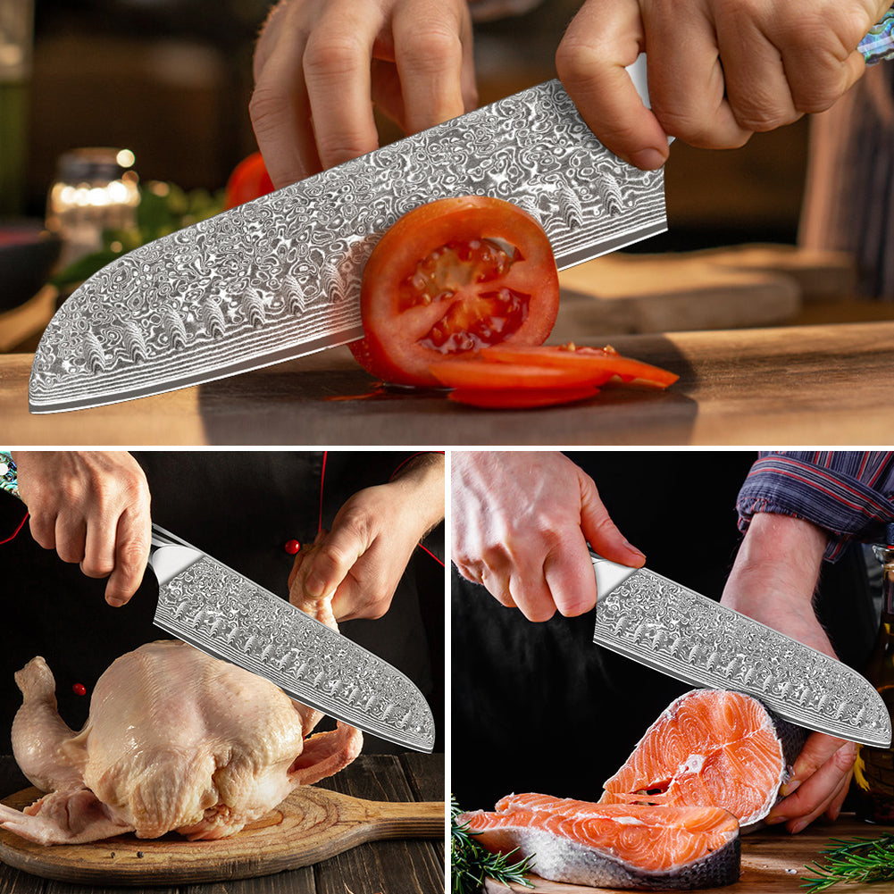 Abalone Shell Series-Santoku Knife