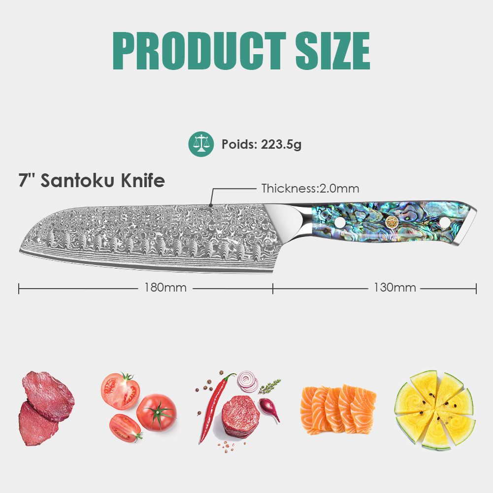 鮑魚殼系列（全集）