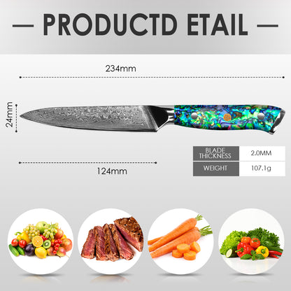 鮑魚殼系列（全集）